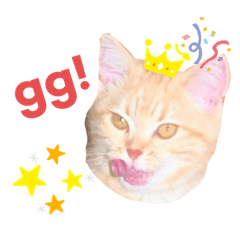 [LINEスタンプ] アメショのこむら