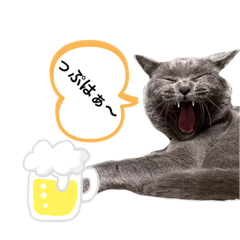 [LINEスタンプ] ブブブブリティッシュ改