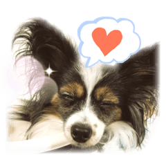 [LINEスタンプ] パピパピパピヨン！(2)