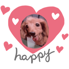 [LINEスタンプ] いぬのゆうちゃん 日常編