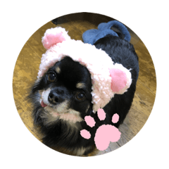 [LINEスタンプ] 可愛いララちゃんスタンプ2