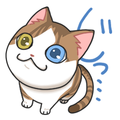 [LINEスタンプ] ご近所にゃんとも！