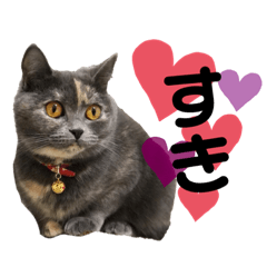[LINEスタンプ] 一言もなか