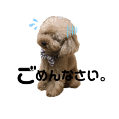 [LINEスタンプ] ブランくん2
