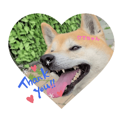 [LINEスタンプ] ‪‪❤︎‬Hidechan·smile‪‪❤︎‬