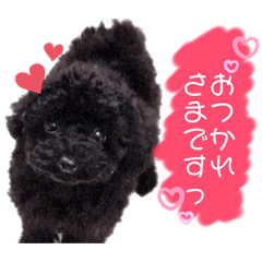 [LINEスタンプ] Suaちゃんstamp