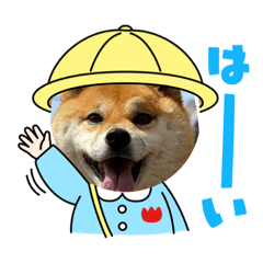[LINEスタンプ] らんちゃんの気持ち