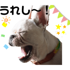 [LINEスタンプ] フレブルスタンプ BURUNO Ⅱ