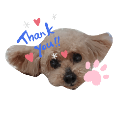 [LINEスタンプ] きゅーとスタンプ-2