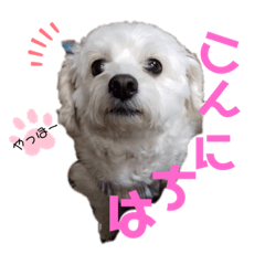 [LINEスタンプ] ラルスタンプ3
