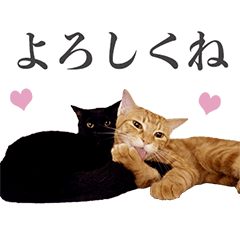 [LINEスタンプ] 風と凪のあいさつ