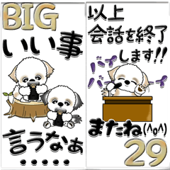 [LINEスタンプ] 【Big】シーズー犬29の画像（メイン）