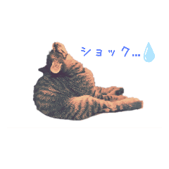 [LINEスタンプ] サムの一言