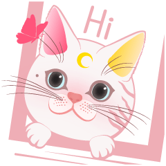 [LINEスタンプ] ねこちゃん かわいい 1.0