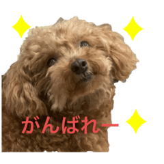 [LINEスタンプ] オットリはなたんスタンプ