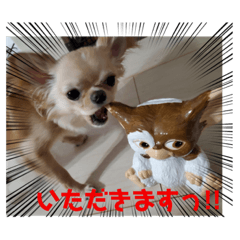 [LINEスタンプ] モグちゃんのスタンプっ