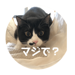 [LINEスタンプ] うみとそら。癒しのスタンプ。