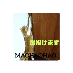 [LINEスタンプ] まおはおはおは言っている