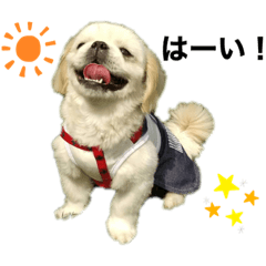 [LINEスタンプ] ふわもこ部
