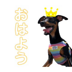 [LINEスタンプ] ジョミーとルゥルー