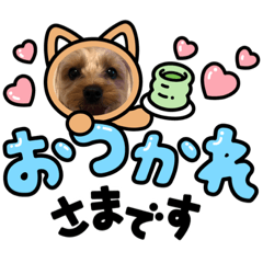 [LINEスタンプ] やんちゃなヨーキーちゃん