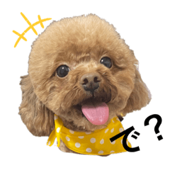 [LINEスタンプ] バブ ぽぽ たまにぴいたん①