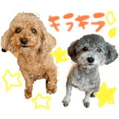 [LINEスタンプ] ココピース