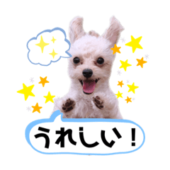 [LINEスタンプ] ひなももすたんぷ！(2)