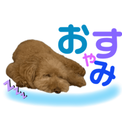 [LINEスタンプ] おとぼけといぷー