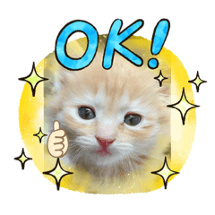 [LINEスタンプ] 日常の短い言葉