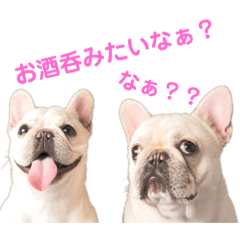 [LINEスタンプ] つきちゃんとこはくん