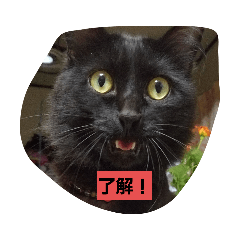 [LINEスタンプ] にんざぶろう。スタンプ