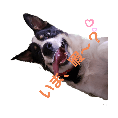 [LINEスタンプ] ほのぼの～一家