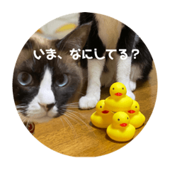 [LINEスタンプ] うみとそら。癒しのスタンプ①