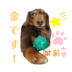 [LINEスタンプ] カニンヘンダックス日常