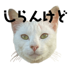[LINEスタンプ] もふもふファンタジー改