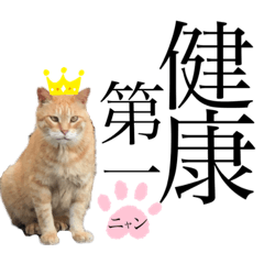 [LINEスタンプ] ノラ猫ちゃん達の集い