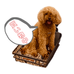 [LINEスタンプ] クリピョン＆スキッピー