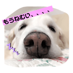 [LINEスタンプ] 林さん家のぷりんちゃん