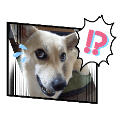 [LINEスタンプ] つき子ファミリー