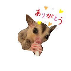 [LINEスタンプ] もんchan