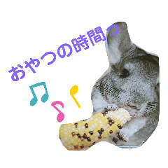 [LINEスタンプ] うちのチンチラさん②