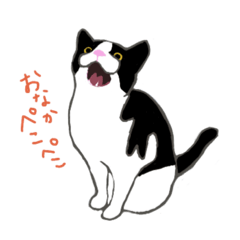 [LINEスタンプ] 白黒ねこハチワレ