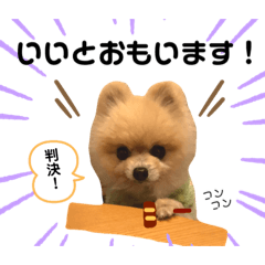 [LINEスタンプ] こいちゃんかうちゃん 2