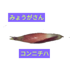 [LINEスタンプ] 野菜学校
