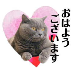 [LINEスタンプ] こたまちゃんビジネススタンプ