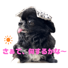 [LINEスタンプ] チマキとベルの一言