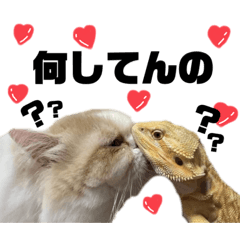 [LINEスタンプ] メインクーン1