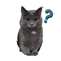 [LINEスタンプ] モモちゃん！！