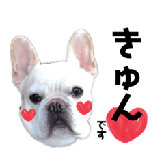 [LINEスタンプ] フレブルとパグ♡BONDEN♡